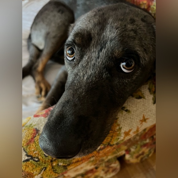 Welcome to Second Chance Alley! I know you will enjoy my fun and funky closet. - Picture 13 of 16